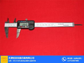 面差尺 桂量量具非標(biāo)現(xiàn)貨 優(yōu)質(zhì)商家 湛江數(shù)顯面差尺