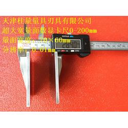 西安非標(biāo)卡尺 桂量量具 非標(biāo)卡尺定做