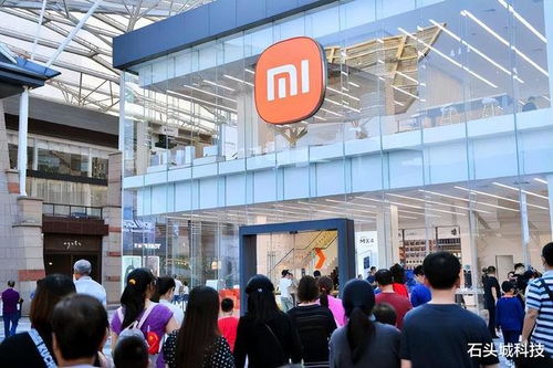 新舊雙雄 價格與配置俱佳的手機，助力互聯網接入及相關服務