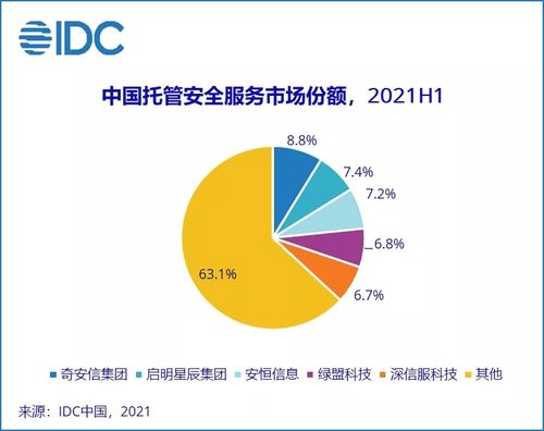 2021上半年中國IT安全服務市場躍升 整體收入約11.1億美元，同比增長達110%，互聯網接入及相關服務成關鍵驅動力
