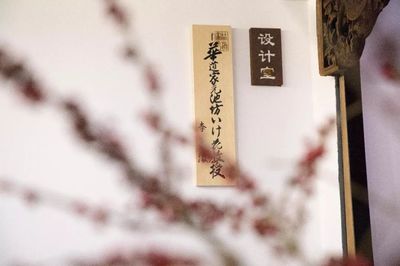 一日僅售五盒！這家空間的高品質(zhì)茶果子，顏值高到讓人舍不得入口